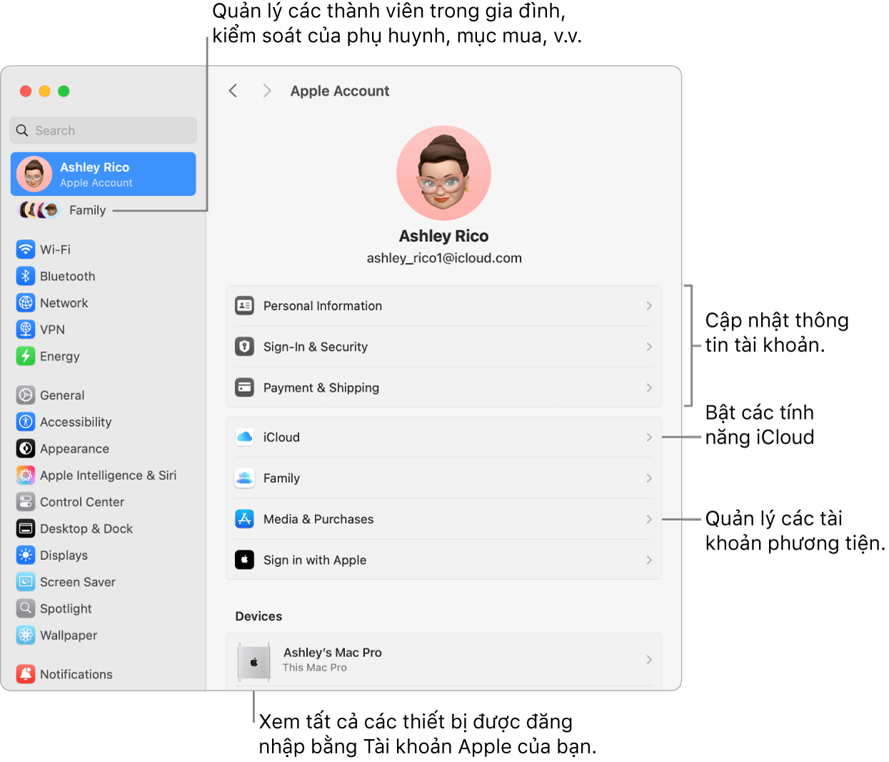 Cài đặt Tài khoản Apple trong Cài đặt hệ thống với các chú thích để cập nhật thông tin tài khoản, bật hoặc tắt các tính năng iCloud, quản lý các tài khoản phương tiện, cũng như Gia đình – là nơi bạn có thể quản lý các thành viên gia đình, kiểm soát của phụ huynh, mục mua, v.v.