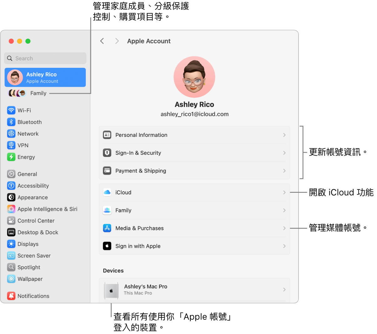 「系統設定」中的「Apple 帳號」設定包含更新帳號資訊、開啟或關閉 iCloud 功能、管理媒體帳號以及可管理家庭成員、分級保護控制、購買項目和更多內容的「家人共享」的說明框。