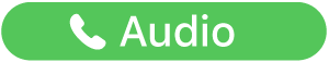 the Audio Call button