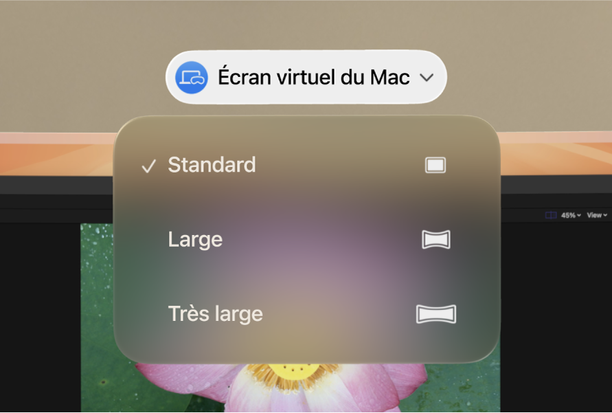 visionOS qui affiche les options de rapport hauteur/largeur de l’écran virtuel du Mac.