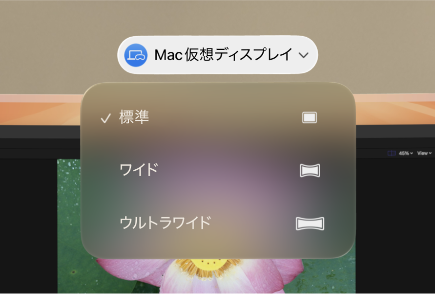 Mac仮想ディスプレイのアスペクト比オプションが表示されているvisionOS。