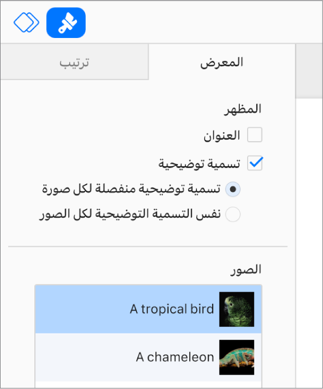 علامة تبويب "المعرض" في الشريط الجانبي "التنسيق". يتم تحديد خانة اختيار "التسمية التوضيحية"، وهناك خيارات للحصول على تسميات توضيحية فردية لكل صورة، أو نفس التسمية التوضيحية لجميع الصور. يوجد أسفل عناصر التحكم صور مصغرة لكل صورة مع تسمية توضيحية على اليسار.