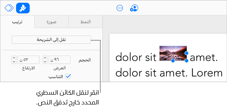 تُحدَّد صورة مضمّنة داخل مربع نص، ويظهر الزر "نقل إلى الشريحة" في علامة التبويب "ترتيب" في الشريط الجانبي.