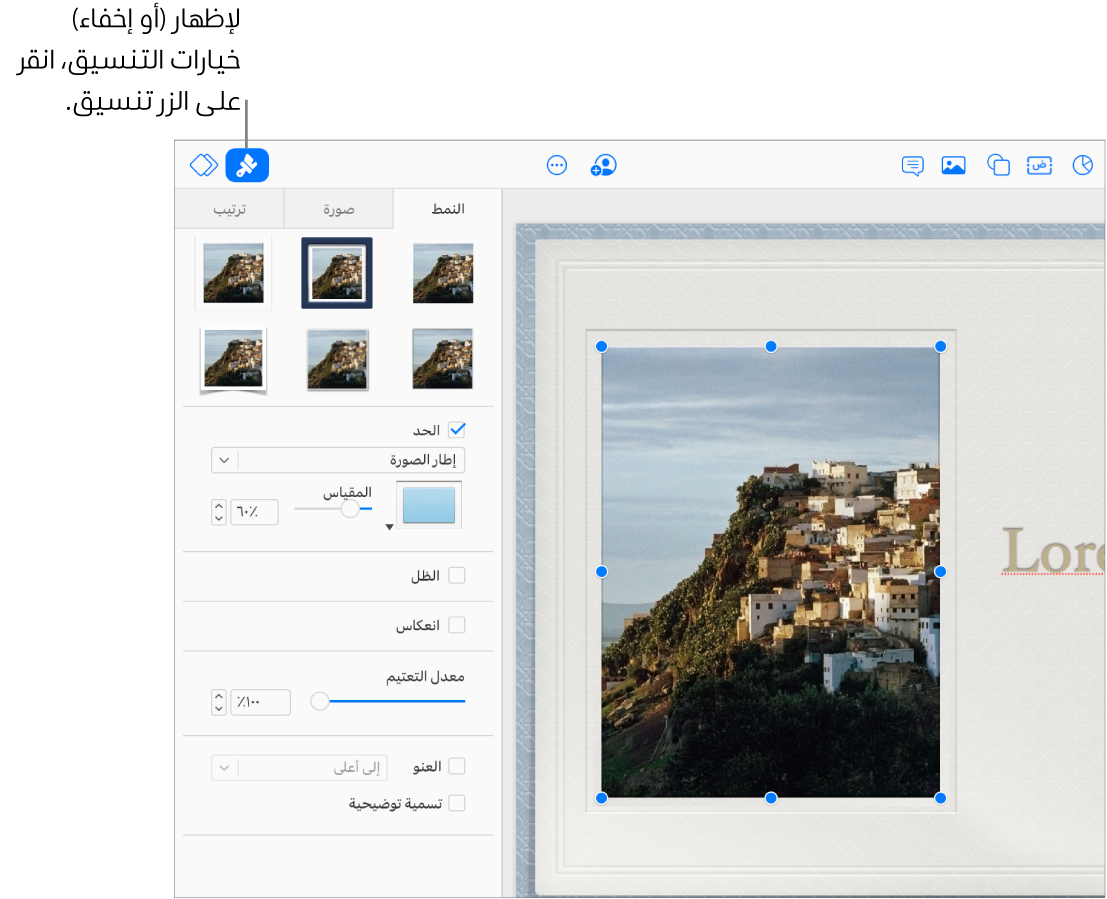 تُحدَّد صورة في عرض تقديمي، وتظهر عناصر التحكم لتغيير مظهرها (على سبيل المثال، خانتا الاختيار "حد" و"ظل") في الشريط الجانبي على اليسار.