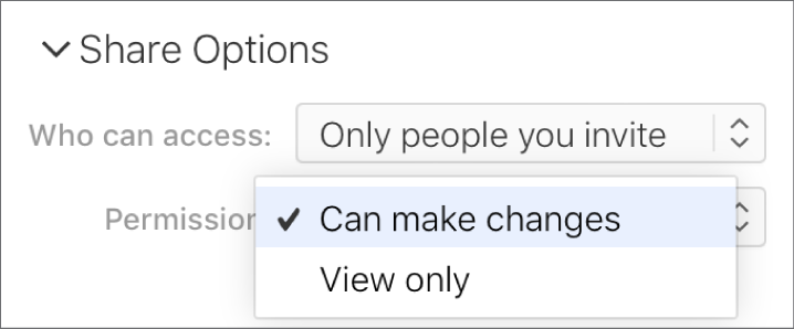 The Permission pop-up menu under Share Options is open, with options that allow people to make changes to a presentation, or only view it.