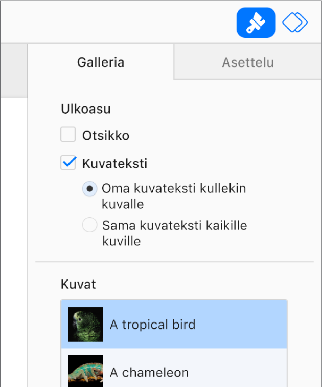 Kuvassa on Muoto-sivupalkin Galleria-välilehti. Kuvatekstit-valintaneliö on valittuna. Lisäksi näkyvissä on asetus, jolla voidaan käyttää omaa kuvatekstiä kussakin kuvassa, ja asetus, jolla voidaan käyttää samaa kuvatekstiä kaikissa kuvissa. Toimintojen alla ovat kunkin kuvan miniatyyrit ja kuvatekstit niiden oikealla puolella.