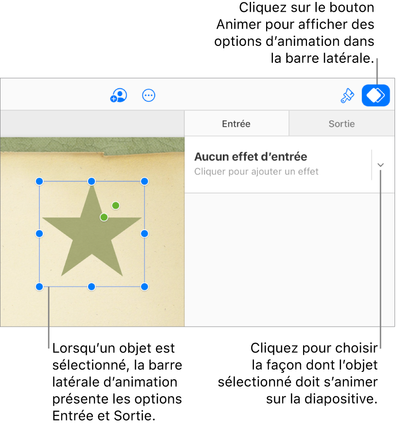 Un objet est sélectionné sur la diapositive, le bouton Animer est sélectionné dans la barre d’outils et « Aucun effet de composition de sortie » s’affiche dans le menu local Entrée de la barre latérale.