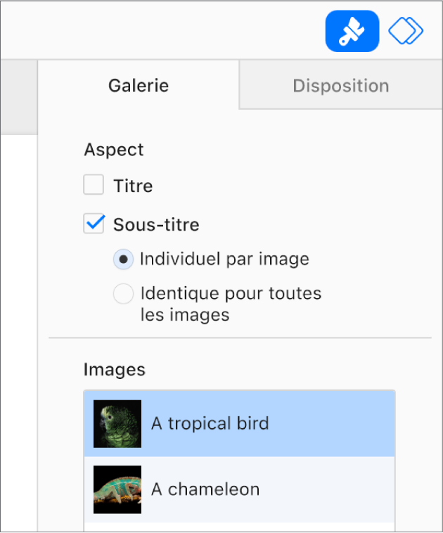 L’onglet Galerie dans la barre latérale Format. La case Sous-titre est sélectionnée et il existe des options pour activer un sous-titre individuel pour chaque image ou le même sous-titre pour l’ensemble des images. Sous les commandes se trouve la vignette de chaque image avec son sous-titre à droite.