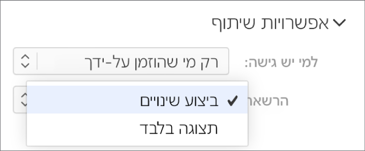 התפריט הקופץ ״הרשאה״ מתחת ל״אפשרויות שיתוף״ פתוח ומציג את האפשרויות: מתן הרשאה לאנשים לערוך את המצגת או רק לצפות בה.