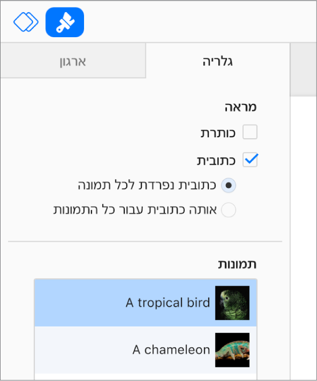 הלשונית ״גלריה״ בסרגל הצד ״עיצוב״. תיבת הסימון ״תיאור״ נבחרת ויש אפשרויות להוסיף תיאור נפרד לכל תמונה או תיאור זהה לכל התמונות. מתחת לפקדים מופיעות תמונות ממוזערות של כל תמונה, עם התיאור שלה בצד ימין.