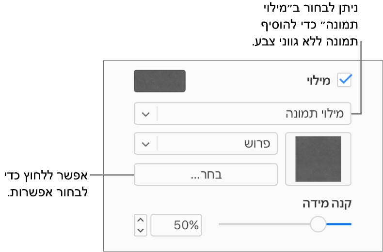 תיבת הסימון ״מילוי״ נבחרת בסרגל הצד והאפשרות ״מילוי תמונה״ נבחרת בתפריט הקופץ מתחת לתיבת הסימון. מתחת לתפריט הקופץ מוצגים פקדים לבחירת התמונה, קנה המידה שלה והאופן שבו היא תמלא את האובייקט. תצוגה מקדימה של מילוי התמונה מופיעה בריבוע (לאחר שבוחרים תמונה).