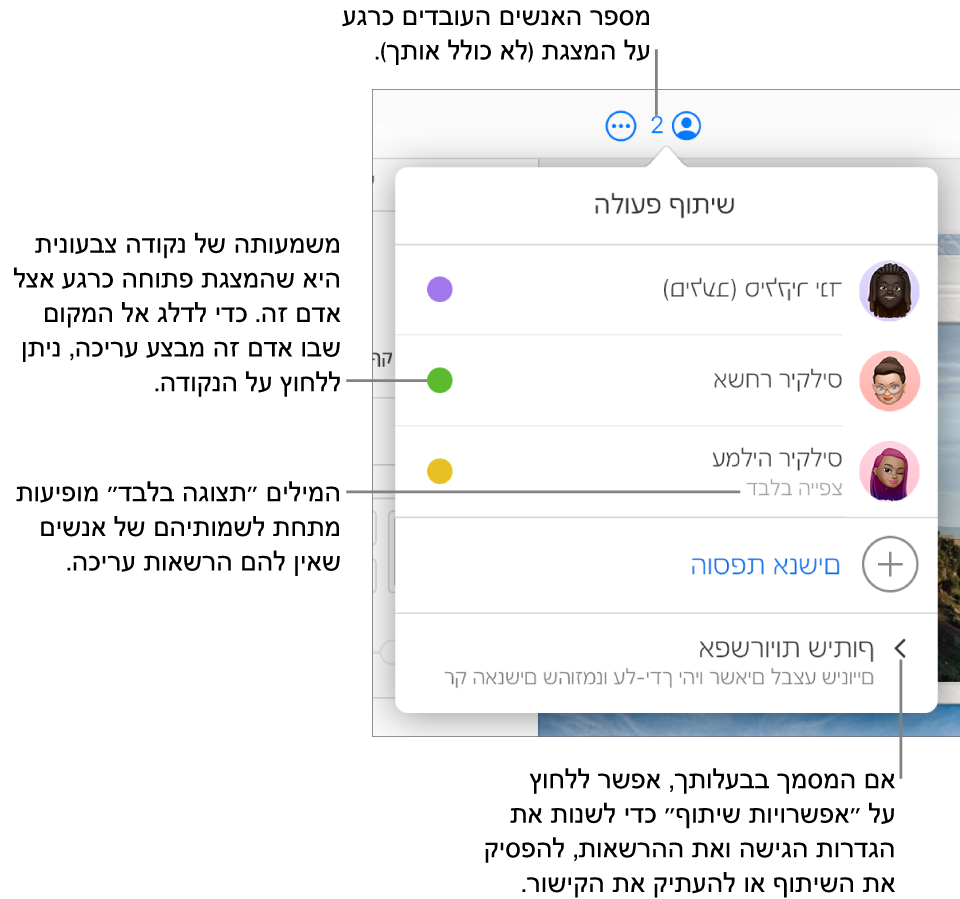 התפריט ״שיתוף פעולה״ פתוח, עם רשימה של שלושה משתתפים (אחד מהם עם הרשאת גישה ״לצפייה בלבד״), עם האפשרות ״הוספת אנשים״ ועם המקטע ״אפשרויות שיתוף״.