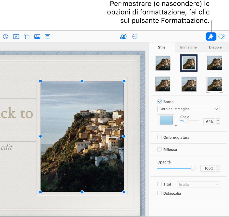 È selezionata un’immagine in una presentazione, e i controlli per modificarne l’aspetto (per esempio, le caselle bordi e ombre) sono mostrate nella barra laterale sulla destra.