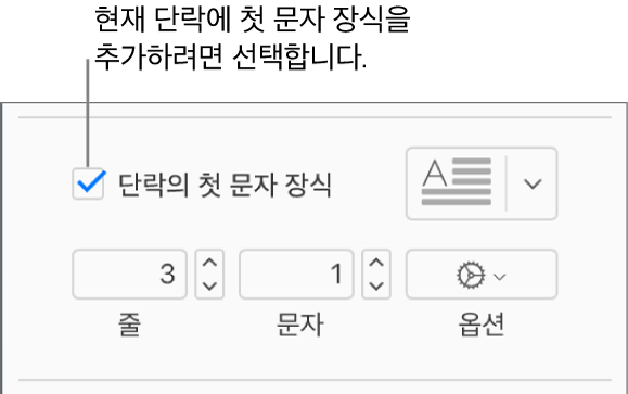 단락의 첫 문자 장식 체크박스가 선택되어 있고 팝업 메뉴가 그 오른쪽에 나타나며, 줄 높이, 문자 수 및 기타 옵션을 설정하는 제어기가 그 아래에 표시됩니다.