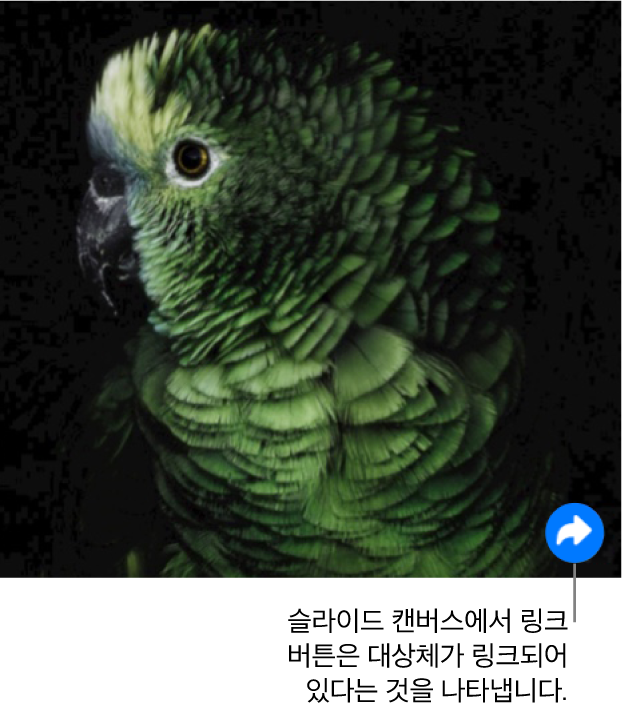 오른쪽 하단에 링크 버튼(곡선 화살표 모양)이 있는 슬라이드 캔버스의 이미지입니다.