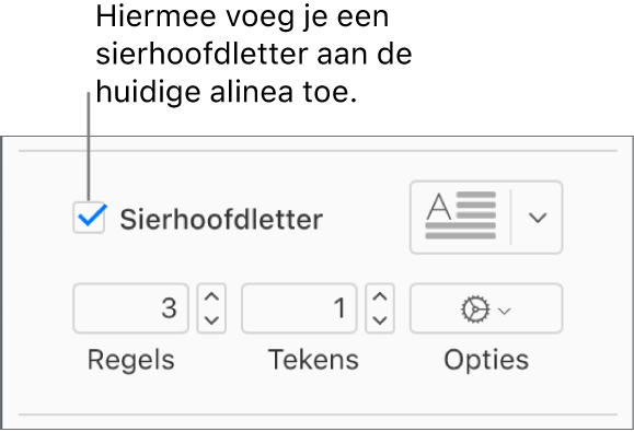 Het aankruisvak 'Sierhoofdletter' is ingeschakeld en rechts ervan staat een pop‑upmenu. Eronder staan regelaars voor het instellen van de regelhoogte, het aantal tekens en andere opties.