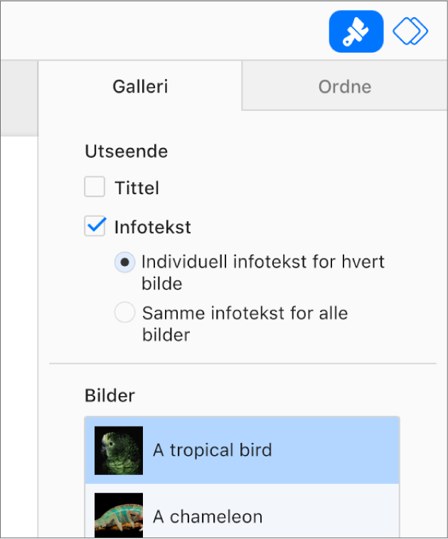 Galleri-fanen i Format-sidepanelet. Det er krysset av i Bildetekster-ruten, og det vises alternativer for å ha individuelle bildetekster for hvert bilde eller samme bildetekst for alle bilder. Under kontrollene er det miniatyrbilder av hvert bilde, og bildeteksten vises til høyre.