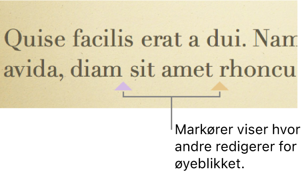 Markører i forskjellige farger viser hvor andre personer gjør endringer i en delt presentasjon.