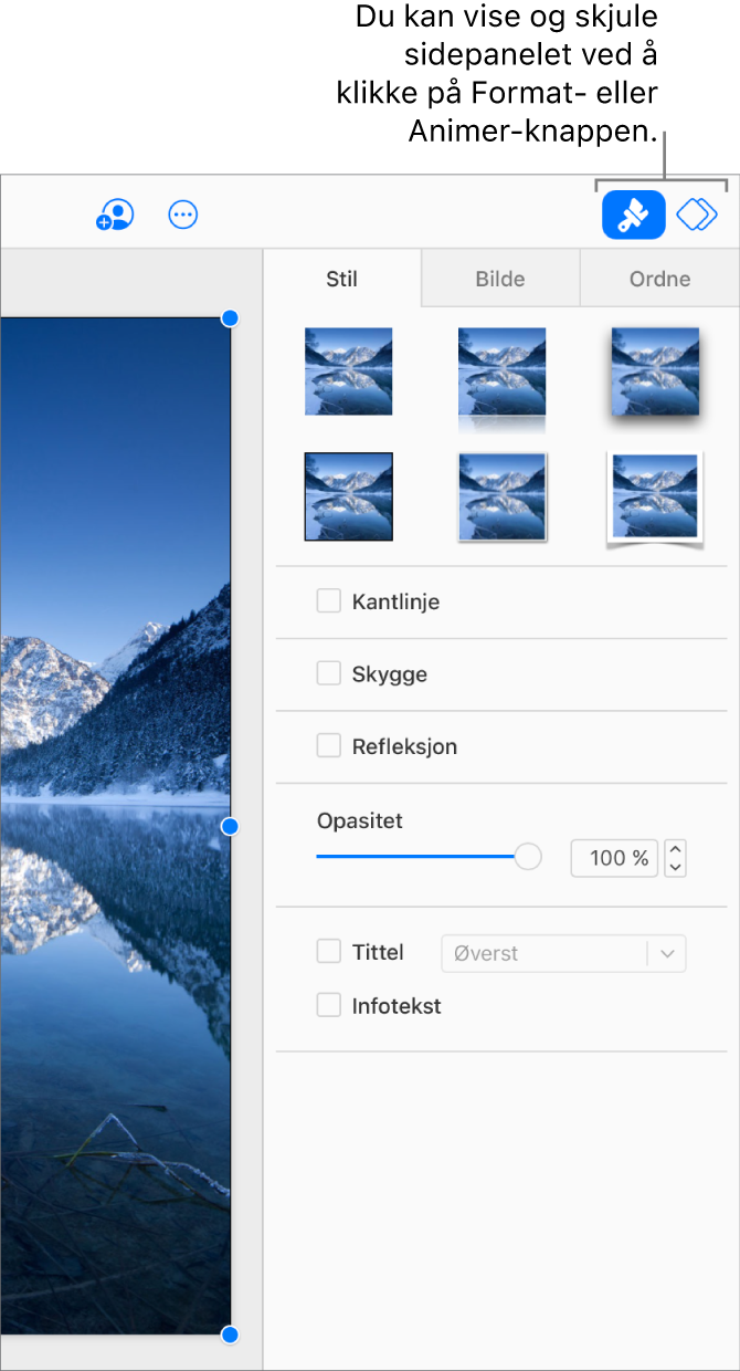 Format-knappen er valgt på verktøylinjen, og kontroller for stil, skygge og annen formatering vises i sidepanelet til høyre for lysbildet.