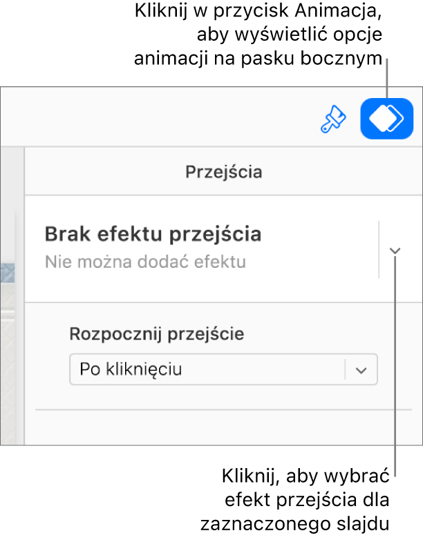 Na pasku narzędzi wybrany jest przycisk Animacja, a w menu podręcznym Przejścia na pasku bocznym wyświetlana jest opcja Brak efektu animacji wejścia.