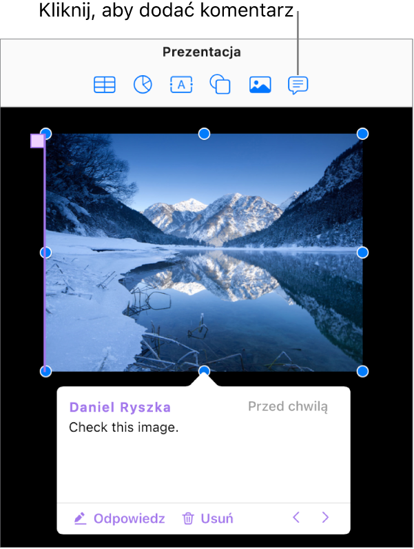 Komentarz dodany do grafiki w prezentacji.