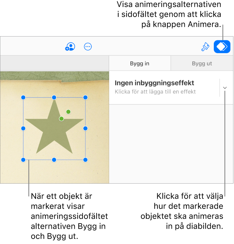 Ett objekt väljs på bilden, knappen Animera väljs i verktygsfältet och ”Ingen inbyggningseffekt” visas i popupmenyn för inbyggd i sidofältet.