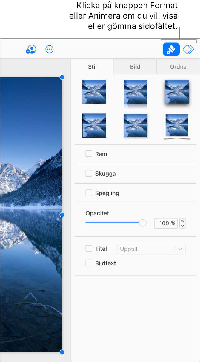 Formatknappen är markerad i verktygsfältet och stil, skugga och andra formateringskontroller visas i sidofältet till höger om bilden.