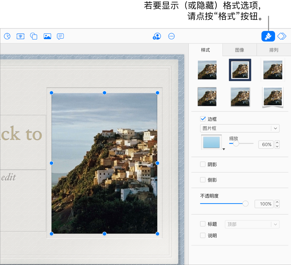 演示文稿中一个被选中的图像，用于更改外观的控制项（例如，边框和阴影复选框）显示在右侧边栏中。