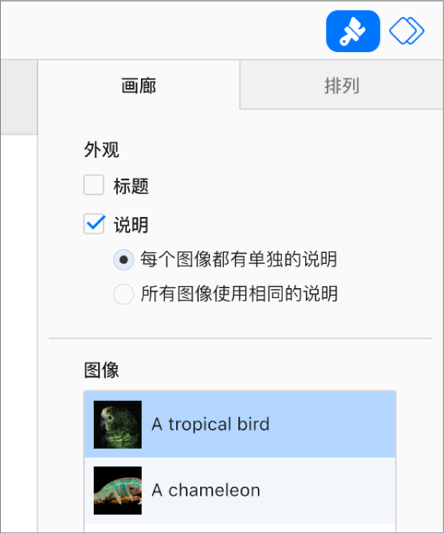 “格式”边栏中的“画廊”标签。“说明”复选框已选中，还可以选择是为每张图像提供单独的说明，还是为所有图像提供相同的说明。控制项下方是每张图像的缩略图，右侧附上相应图像的说明。