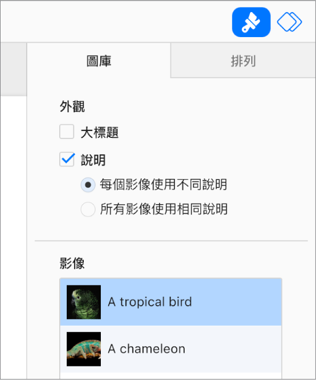 「格式」側邊欄中的「圖庫」標籤頁。「說明」註記框已選取，可選擇為每個影像提供個別說明，或讓所有影像使用相同說明。控制項目下方有各影像的縮覽圖，右側有文字說明。