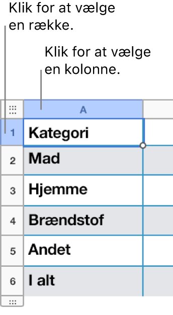 En valgt tabelrække med billedtekster til række- og kolonnemarkeringerne.