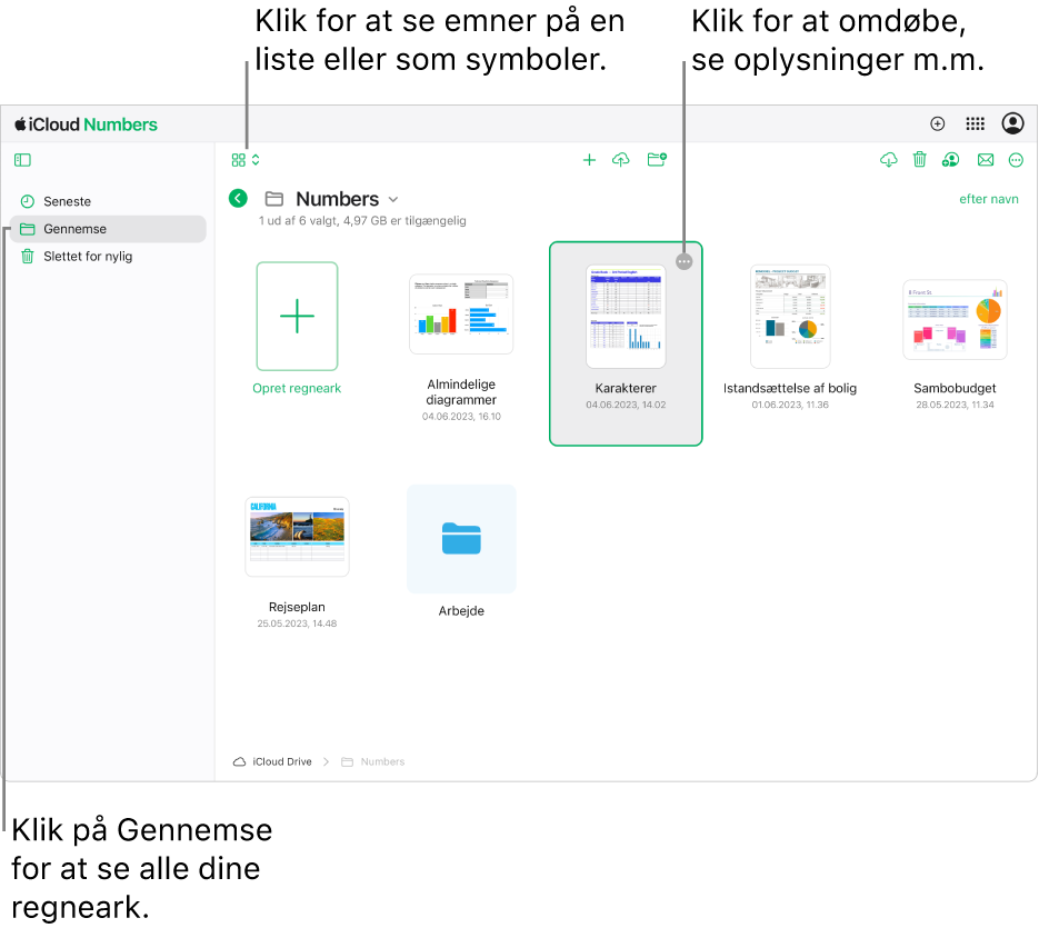 Dokumentadministrationen i oversigten til gennemsyn, der viser Numbers-dokumenter som symboler i et net. Knappen Mere (tre prikker) vises i øverste højre hjørne af det valgte regneark. Over regnearkene er der i venstre side af værktøjslinjen en lokalmenu, hvor du kan vælge at se emner som symboler eller på en liste. I højre side af værktøjslinjen er der knapper til at hente, samarbejde, e-maile eller slette.