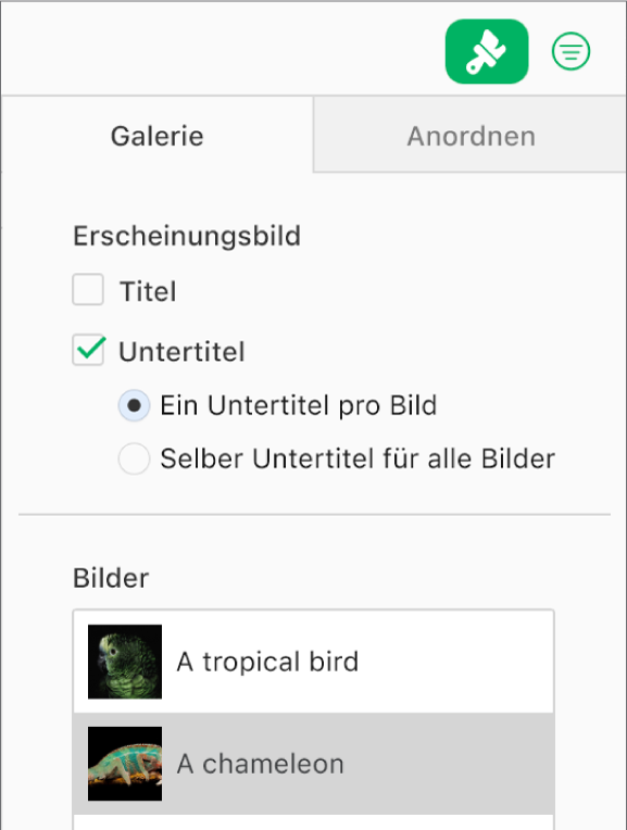 Der Tab „Galerie“ in der Seitenleiste „Format“. Das Markierungsfeld „Untertitel“ ist aktiviert und du kannst jedem Bild einen eigenen Untertitel oder allen Bildern denselben Untertitel hinzufügen. Unterhalb der Steuerelemente befinden sich Miniaturen der einzelnen Bilder mit dem Untertitel rechts daneben angezeigt.