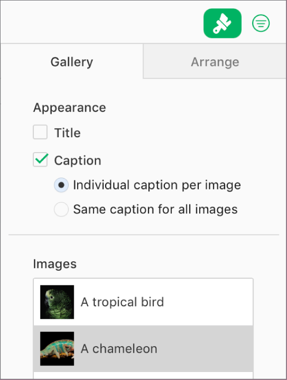 The Gallery tab in the Format sidebar. The Captions checkbox is selected, and there are options to have individual captions for each image, or the same caption for all images. Below the controls are thumbnails of each image with its caption to the right.