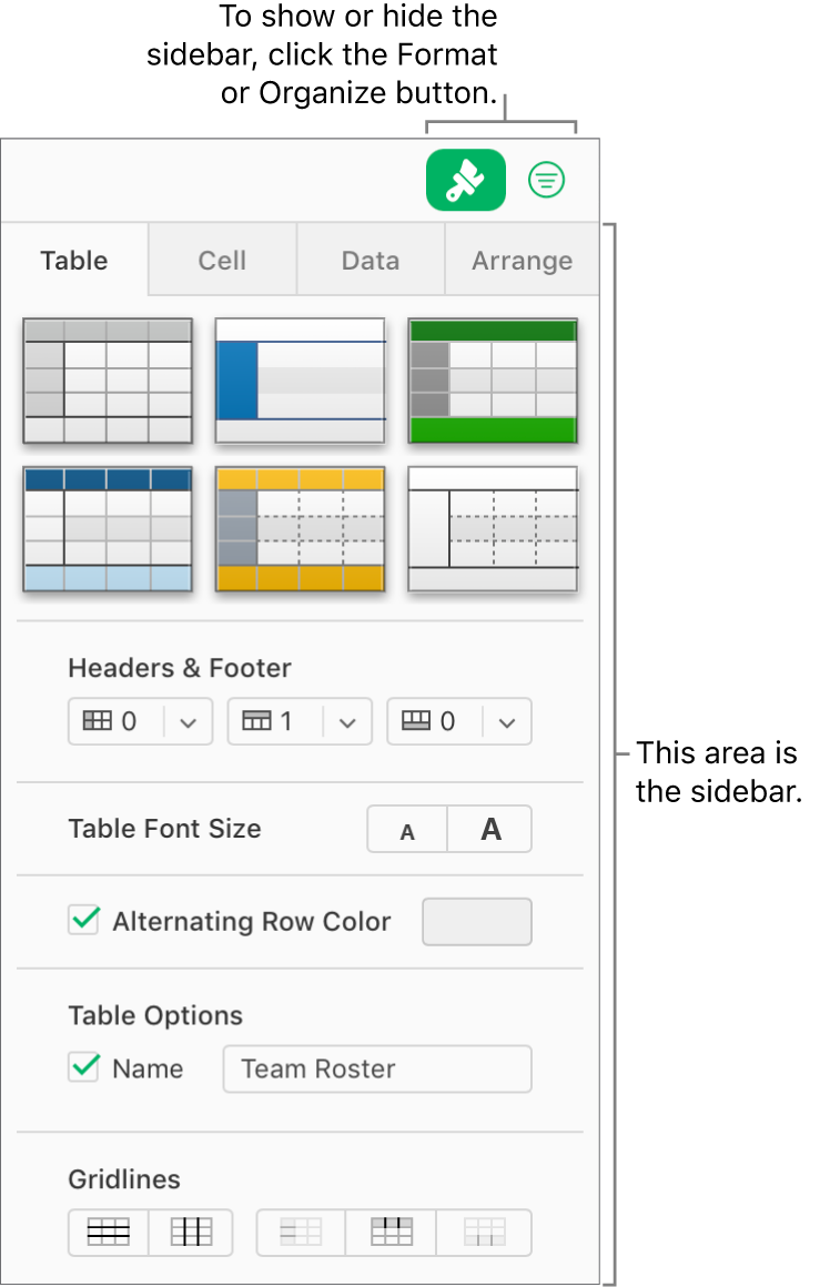 The Format button is selected in the toolbar, and table style, color, and other formatting controls appear in the sidebar to the right of the spreadsheet. The Organize button appears to the right of the Format button in the toolbar.