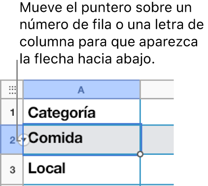 En una tabla se ha seleccionado un número de fila y la flecha abajo se ve a su derecha.