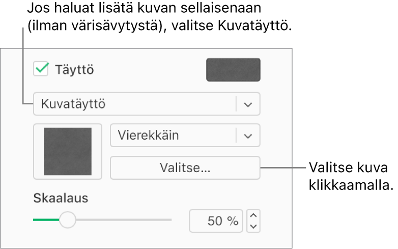 Sivupalkissa on valittuna Täyttö-valintaneliö, jonka alla olevassa ponnahdusvalikossa on valittuna Kuvatäyttö. Toiminnot kuvan valitsemista, sen objektin täyttötavan valintaa ja kuvan skaalaamista varten ovat ponnahdusvalikon alla. Väritäytön esikatselu näkyy neliössä (kun kuva on valittu).