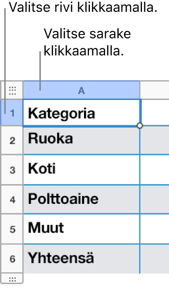Valittu taulukon rivi sekä rivi- ja sarakevalintojen selitteet.