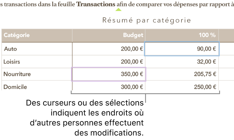 Curseurs et sélections de cellules du tableau dans des couleurs différentes indiquant les emplacements où les autres utilisateurs effectuent des modifications dans une feuille de calcul partagée.