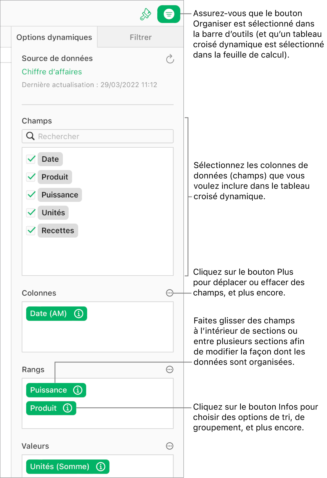 L’onglet Options du tableau croisé dynamique dans la barre latérale Organiser, qui présente les champs des sections Colonnes, Lignes et Valeurs, ainsi que les boutons Info et Plus permettant de modifier les champs et d’actualiser le tableau croisé dynamique.