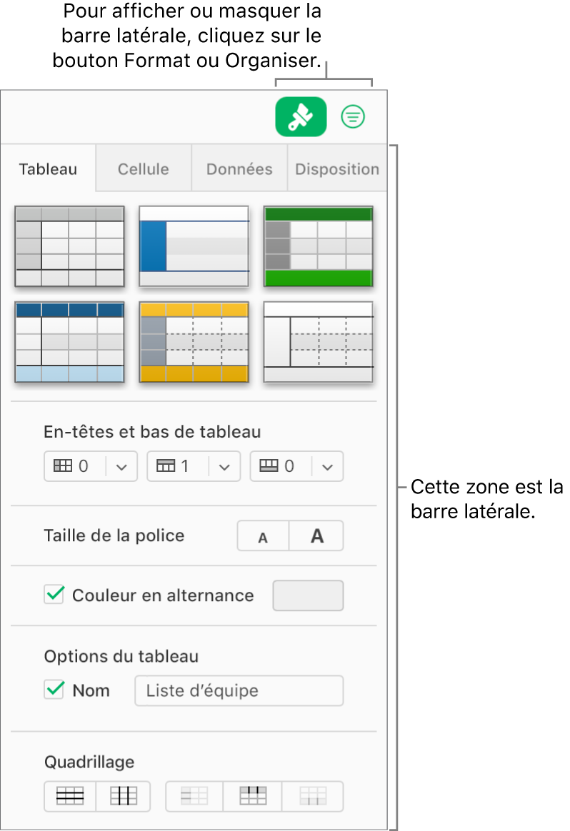 Le bouton Format est sélectionné dans la barre d’outils, et les commandes de style, de couleur et de formatage apparaissent dans la barre latérale, à droite de la feuille de calcul. Le bouton Organiser s’affiche à droite du bouton Format dans la barre d’outils.