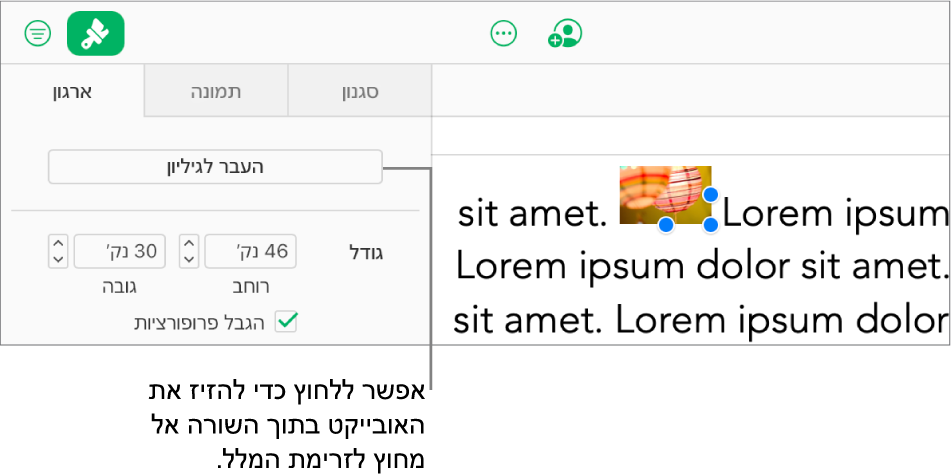 בחירה בתמונה מוטבעת בתוך תיבת מלל, וכפתור ״מעבר לגיליון״ מוצג בלשונית ״ארגן״ בסרגל הצד.