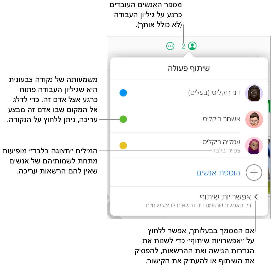 התפריט ״שיתוף פעולה״ פתוח, עם רשימה של שלושה משתתפים (אחד מהם עם הרשאת גישה ״לצפייה בלבד״), עם האפשרות ״הוספת אנשים״ ועם המקטע ״אפשרויות שיתוף״ שבו הבעלים יכולים לשנות את הגדרות הגישה וההרשאות.