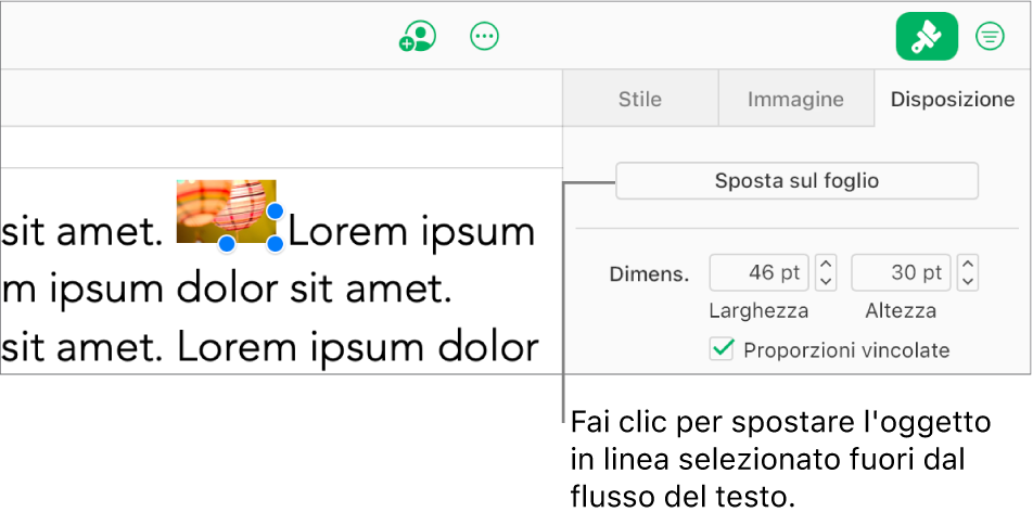 È selezionata un’immagine in linea all’interno di una casella di testo e il pulsante “Sposta nel foglio” è visibile nel pannello Disponi nella barra laterale.