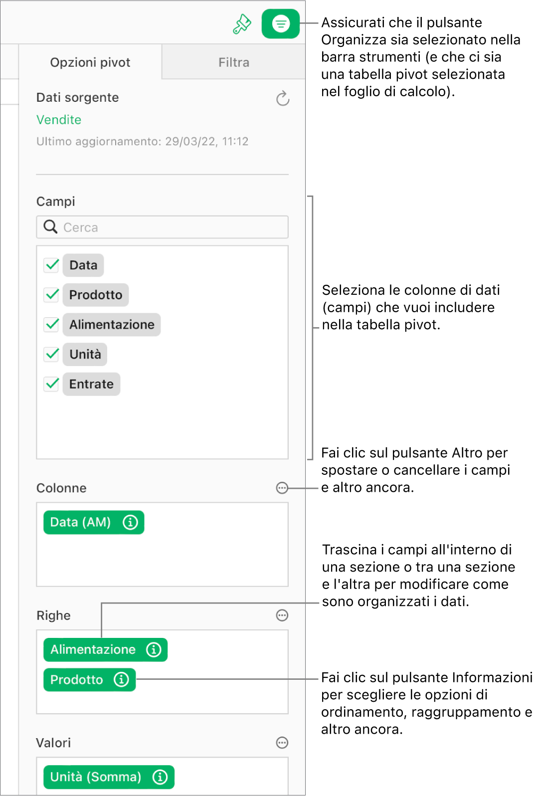Il pannello “Opzioni pivot” nella barra laterale Organizza, che mostra campi nelle sezioni Colonne, Righe e Valori, nonché i pulsanti Info e Altro per modificare i campi e aggiornare la tabella pivot.