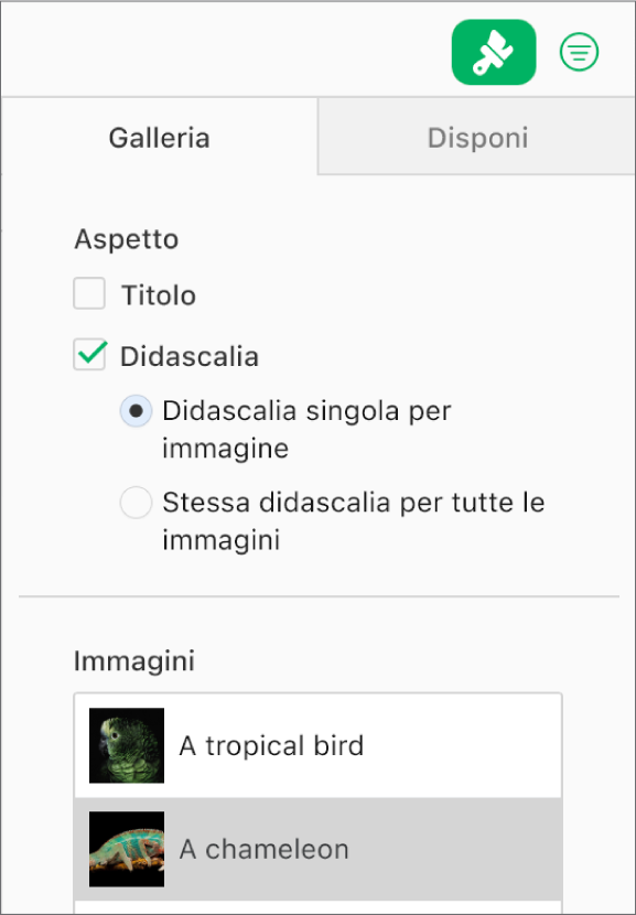 Il pannello Galleria nella barra laterale Formato. È selezionato il riquadro Didascalie, e ci sono opzioni per avere didascalie singole per ciascuna immagine o la stessa per tutte le immagini. Sotto ai controlli ci sono miniature di ciascuna immagine con la relativa didascalia sulla destra.