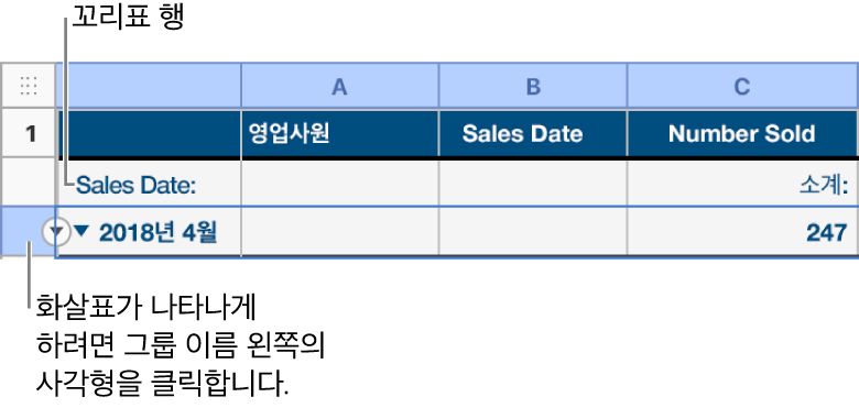 분류된 표에서 요약 행이 선택되고 아래쪽 화살표가 테두리에 나타납니다. 요약 행 위의 레이블 행에는 그룹 이름 위의 카테고리 이름이 표시되고, 세 번째 열에는 함수 이름(소계)이 표시됩니다.