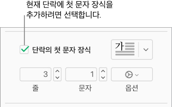 단락의 첫 문자 장식 체크박스가 선택되어 있고 팝업 메뉴가 그 오른쪽에 나타나며, 줄 높이, 문자 수 및 기타 옵션을 설정하는 제어기가 그 아래에 표시됩니다.