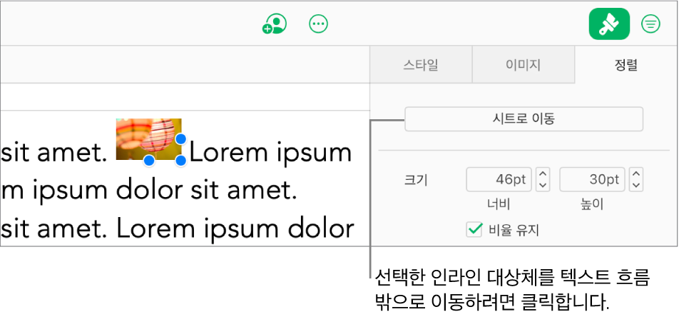 텍스트 상자 안에 인라인 이미지가 선택되어 있으며 사이드바의 정렬 탭에 시트로 이동 버튼이 표시되어 있습니다.