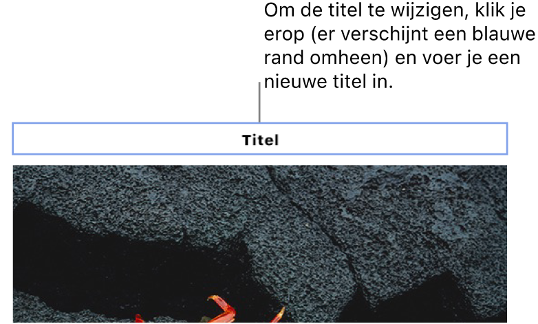 Boven een foto verschijnt de plaatsaanduiding 'Titel'. Een blauwe rand rond het titelveld geeft aan dat het geselecteerd is.